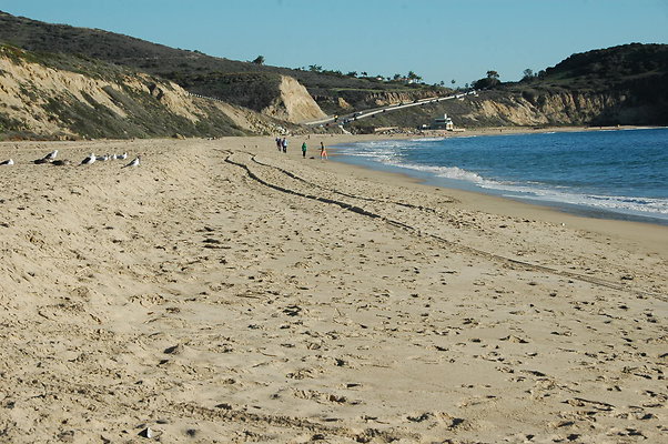 DSC 0019