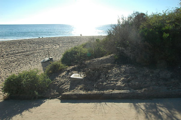 DSC 0007