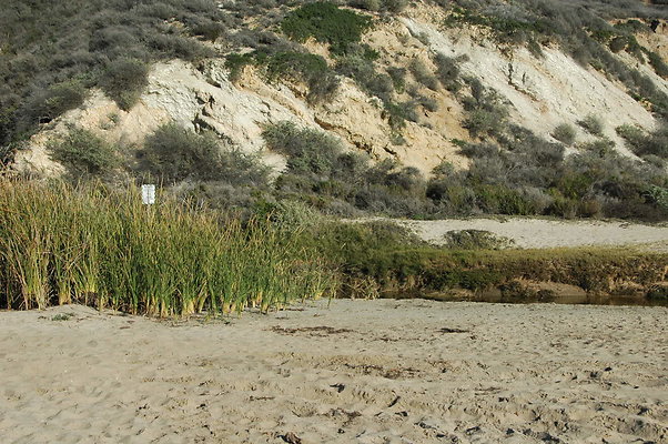 DSC 0011