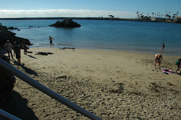 DSC 0019