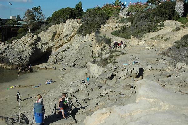 DSC 0007
