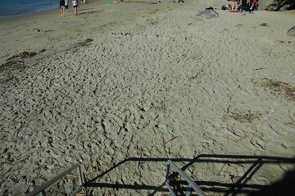 DSC 0021