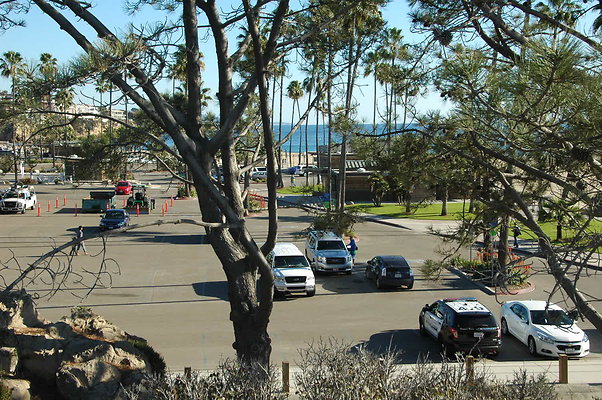 DSC 0042