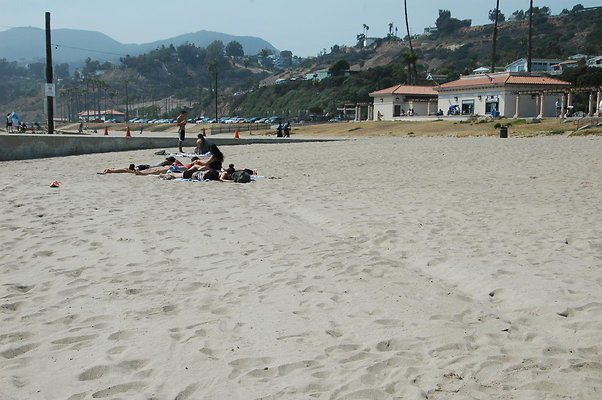 DSC 0010