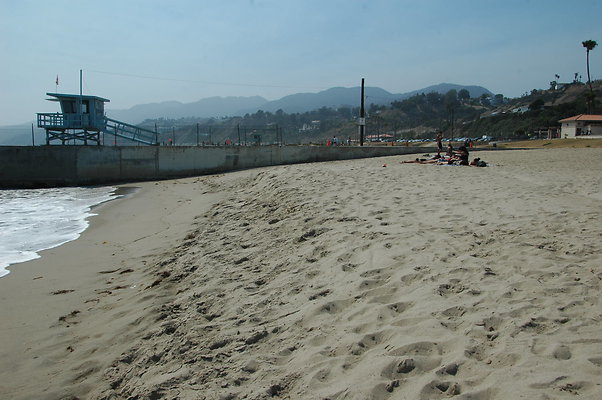 DSC 0009