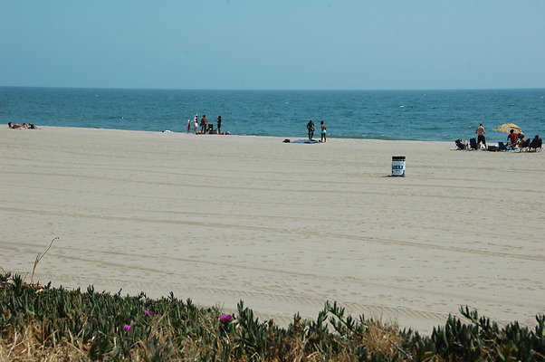 DSC 0003