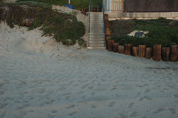 DSC 0012