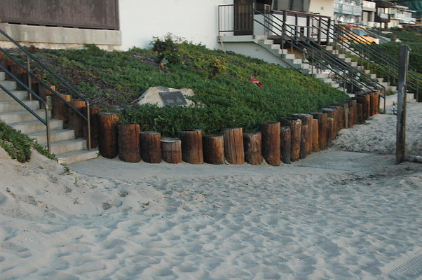 DSC 0015