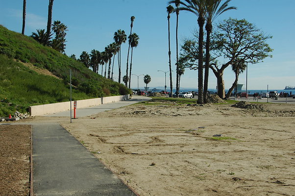 DSC 0019