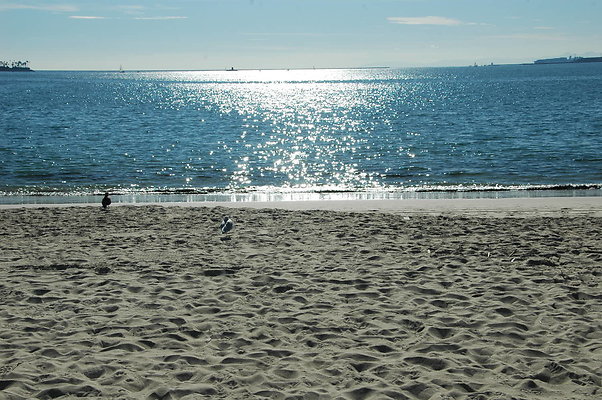 DSC 0028
