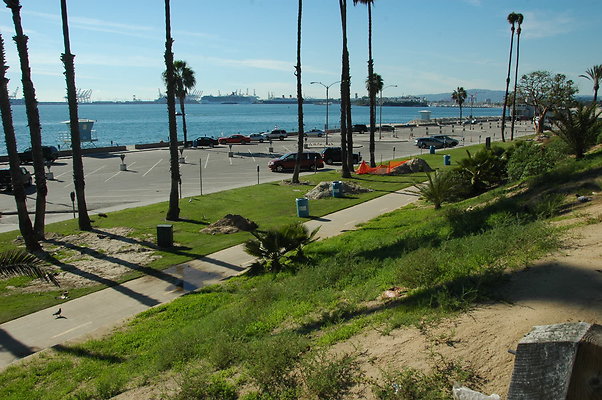DSC 0035