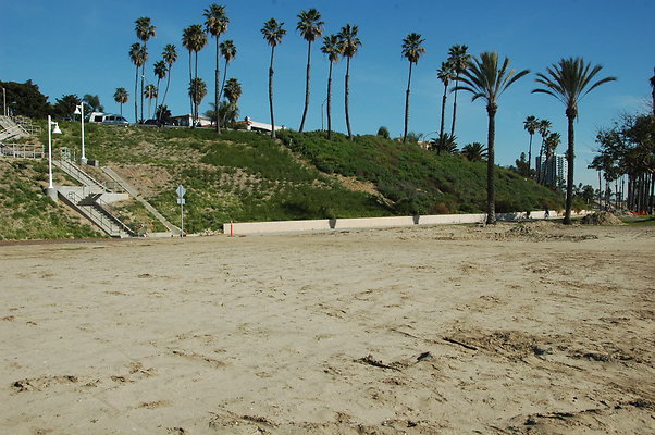 DSC 0017