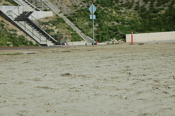 DSC 0018