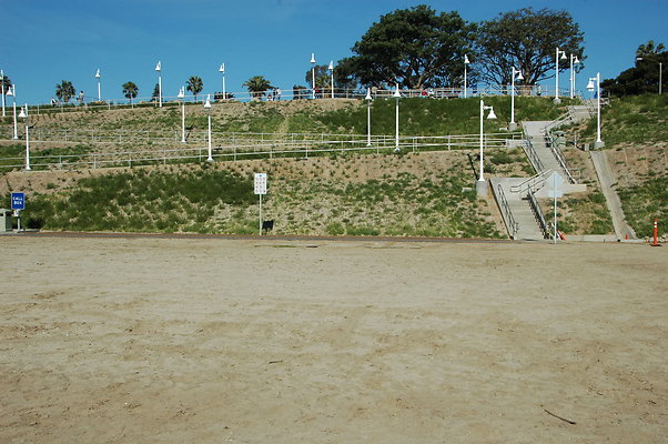DSC 0015