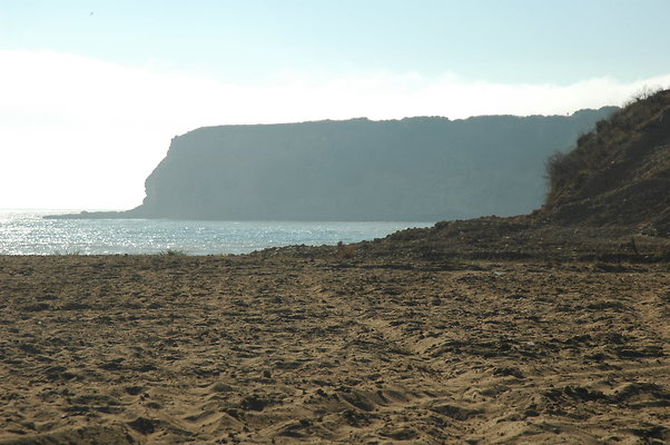 DSC 0016