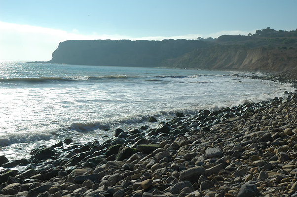 DSC 0019