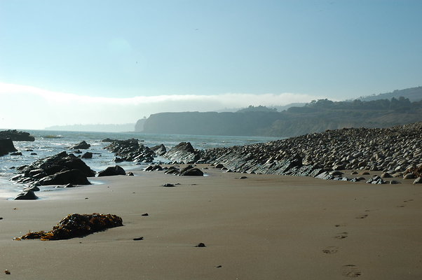 DSC 0035