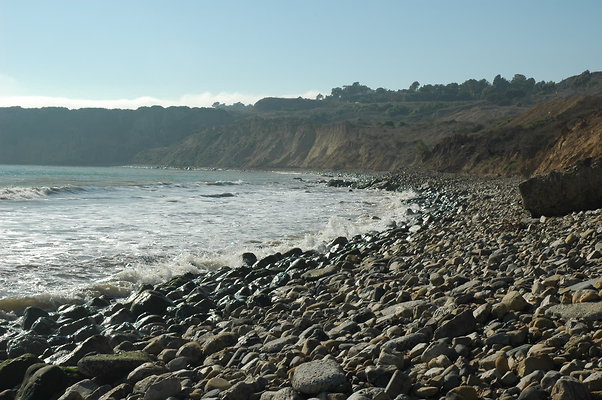 DSC 0017