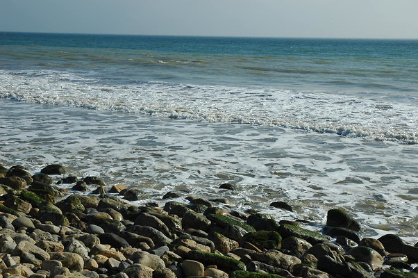 DSC 0020