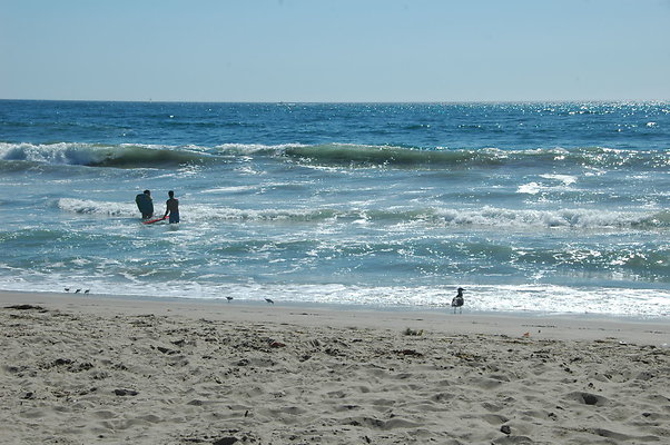 DSC 0006