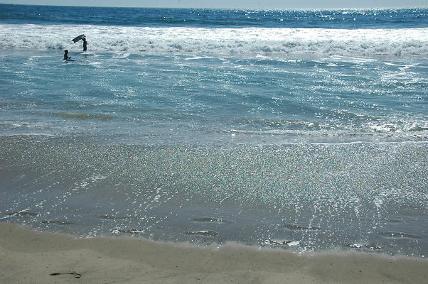 DSC 0009