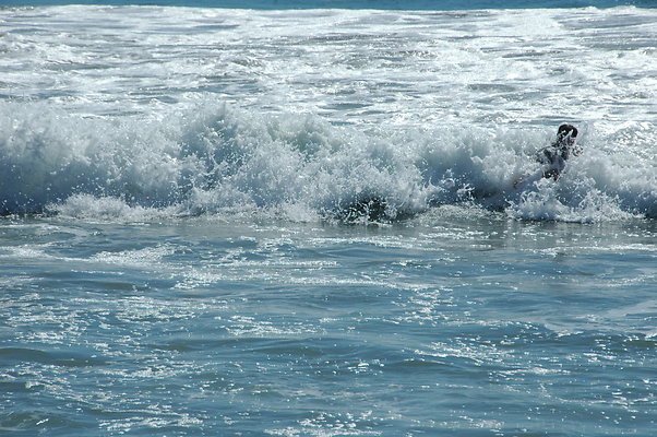 DSC 0012