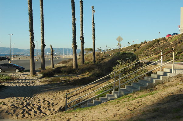 DSC 0006