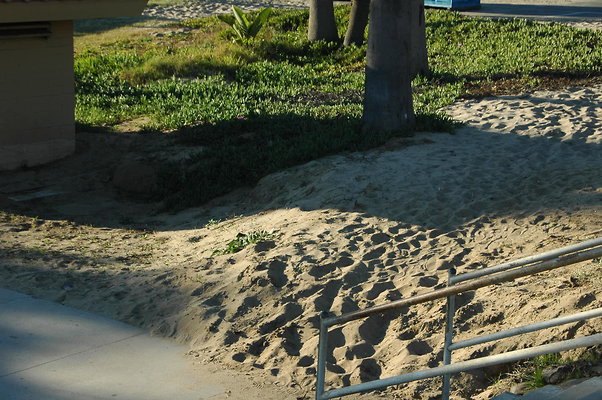 DSC 0007