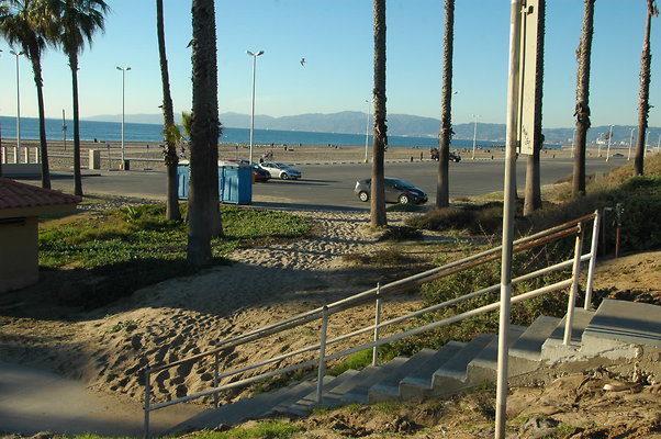 DSC 0008