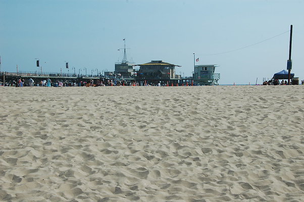 DSC 0004