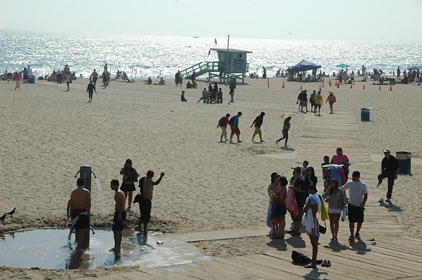 DSC 0019