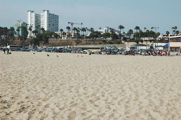 DSC 0049