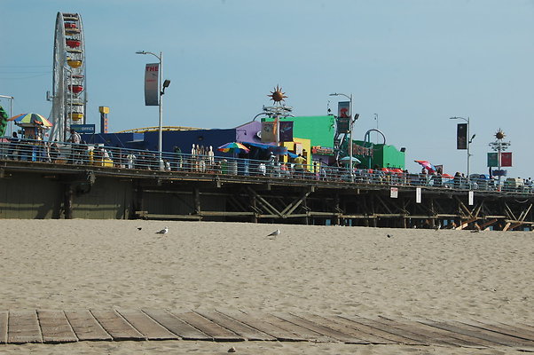 DSC 0028