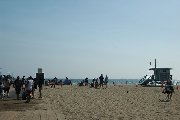 DSC 0031