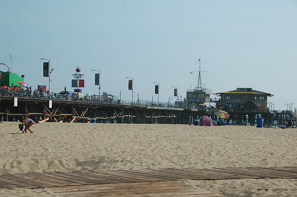 DSC 0029