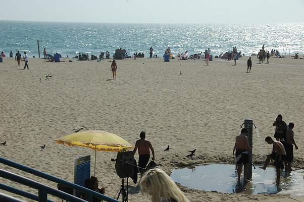 DSC 0018