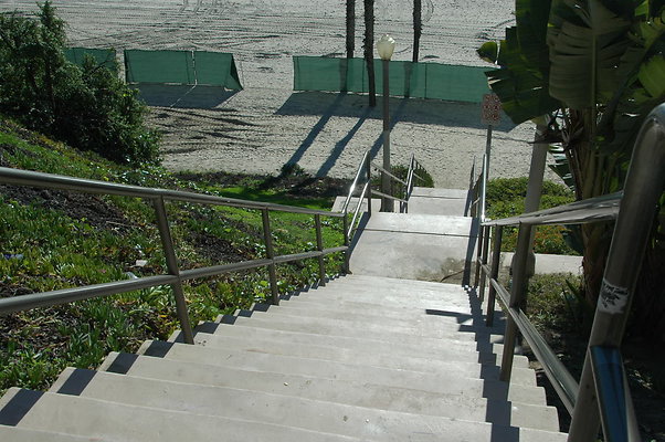DSC 0041
