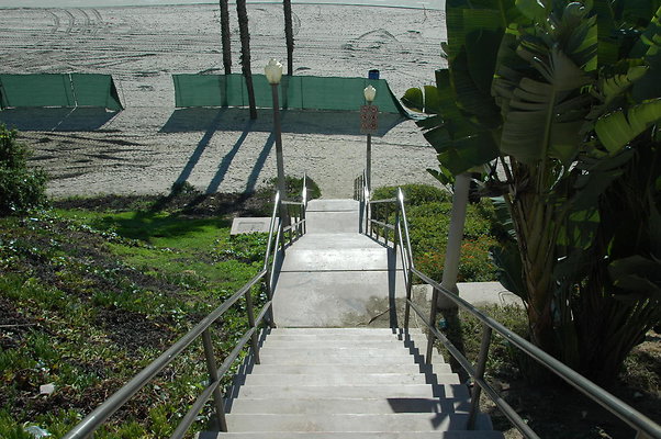 DSC 0044