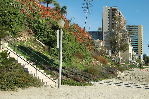 DSC 0051