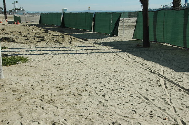 DSC 0053