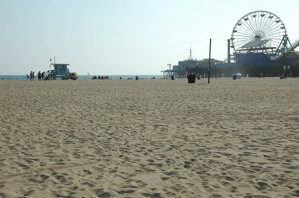 DSC 0001