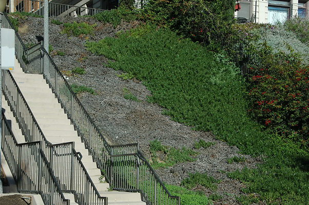 DSC 0010