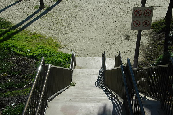 DSC 0006