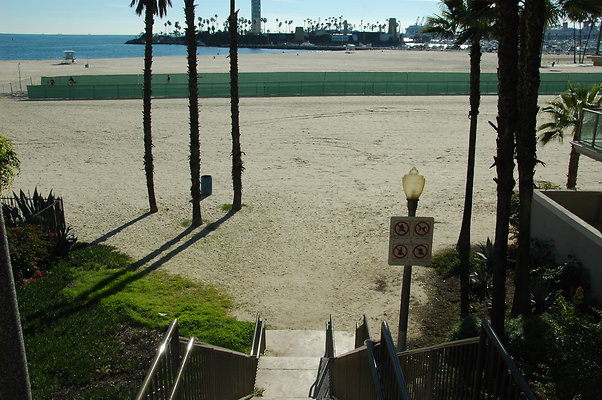 DSC 0007