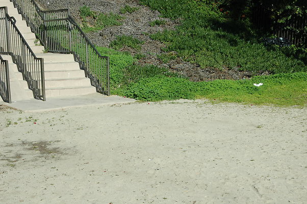 DSC 0011