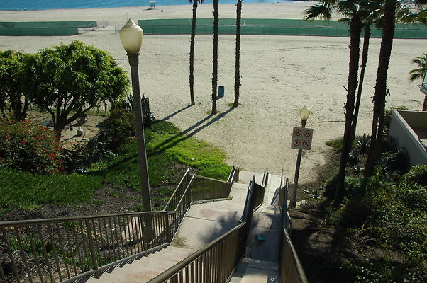 DSC 0002