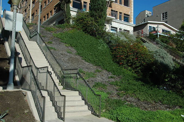 DSC 0024