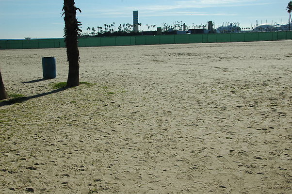 DSC 0022