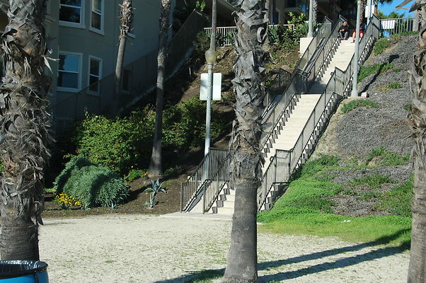 DSC 0015