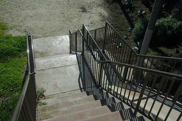 DSC 0008